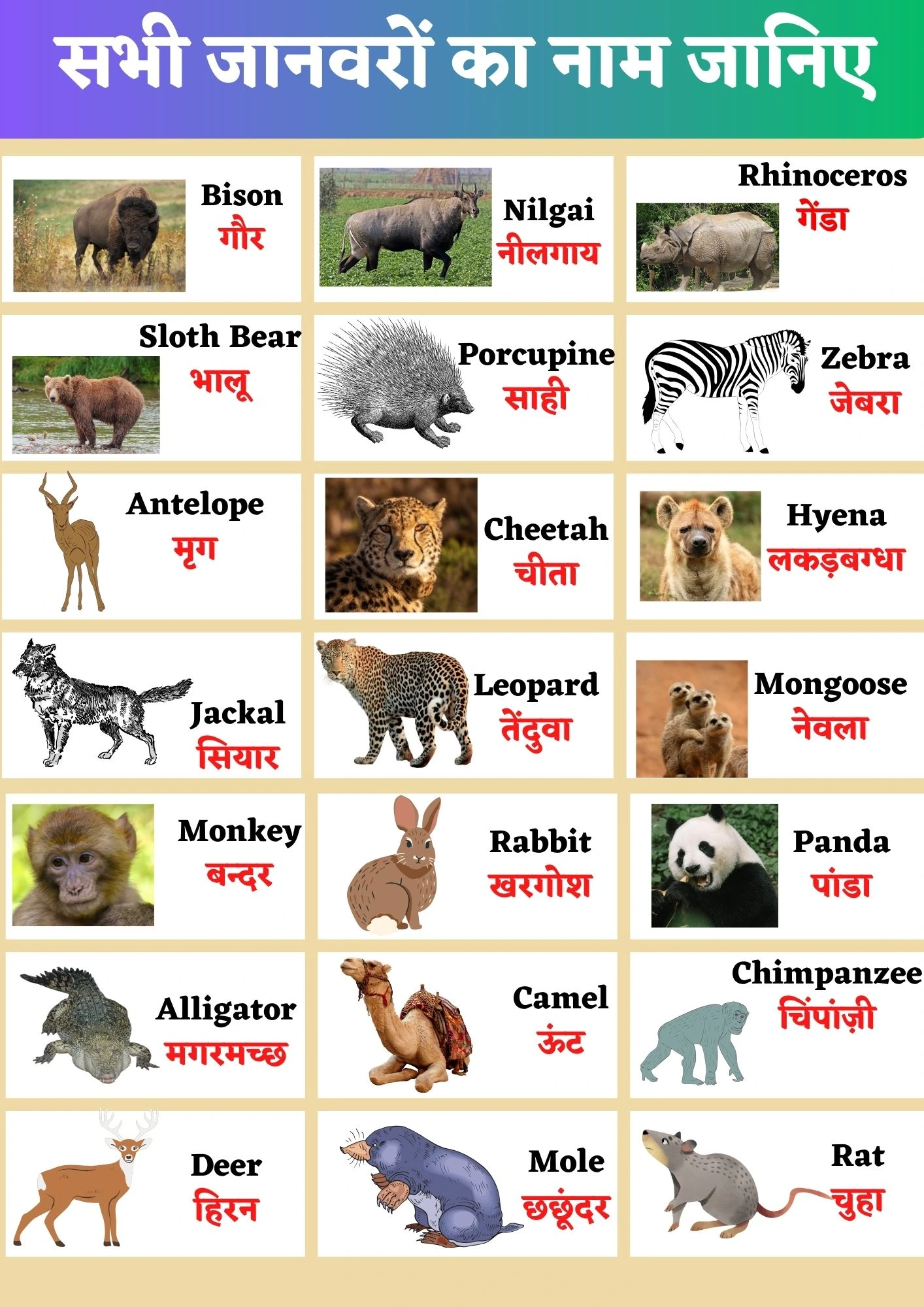 Animals Name in Hindi