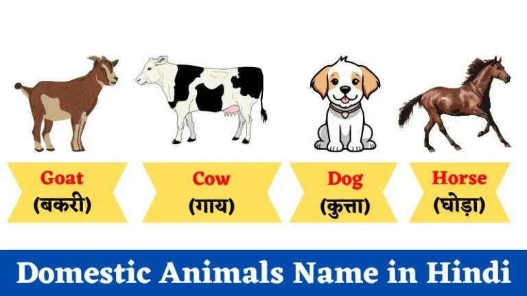 Domestic Animals Name in Hindi