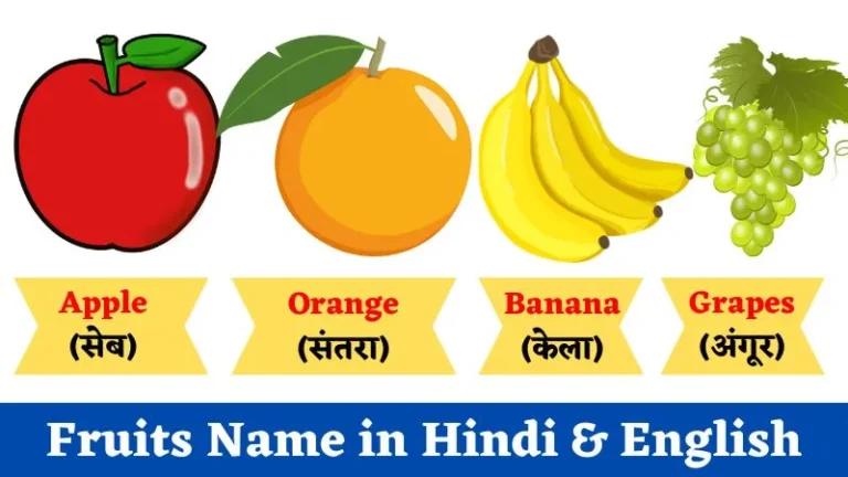 Fruits Name in Hindi