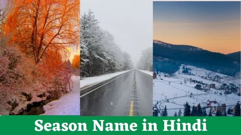 Season Name in Hindi