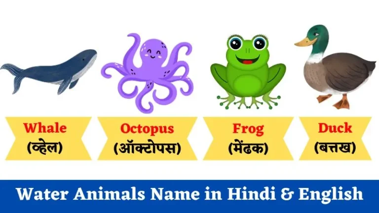 Water Animals Name in Hindi