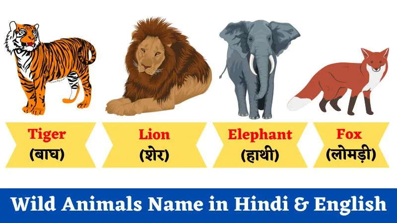 Wild Animals Name in Hindi