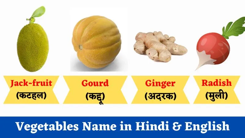 Vegetables Name in Hindi & English