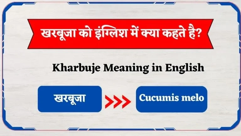 Kharbuje-Meaning-in-english
