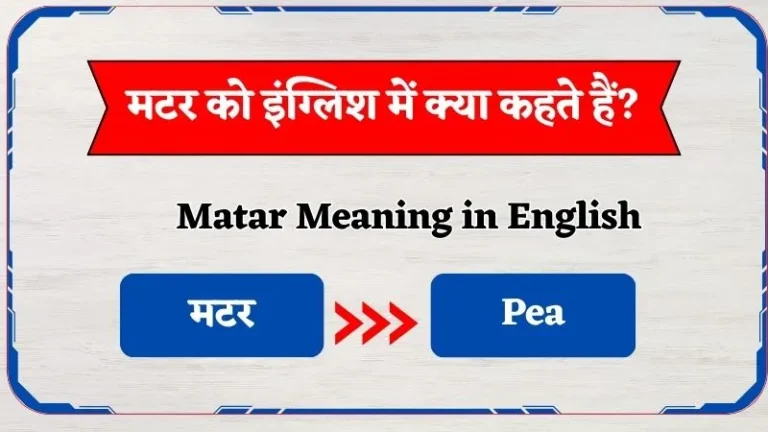 मटर को इंग्लिश में क्या कहते हैं? | Matar Ko English Mein Kya Kahte Hain