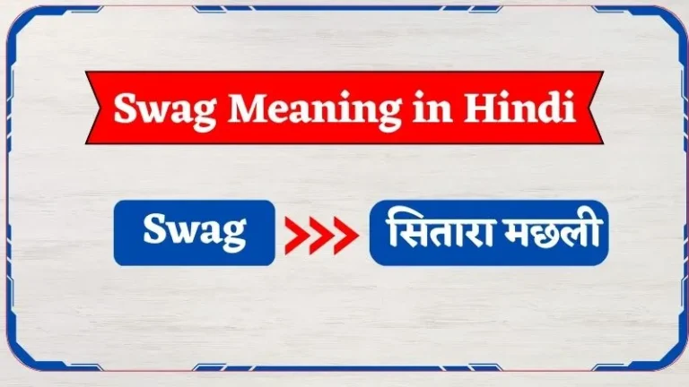 Swag Meaning in Hindi